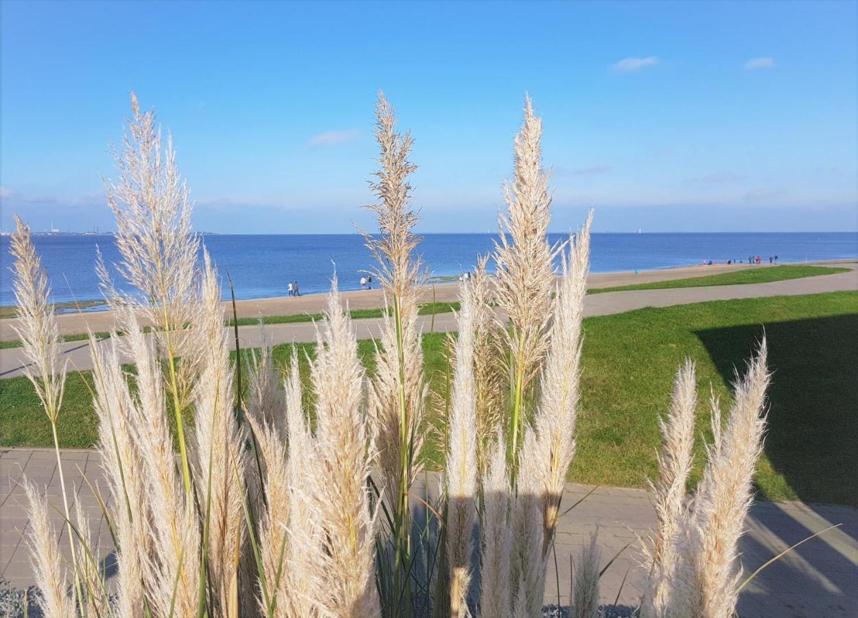 Apartment Jadestrand, Am Alten Deich 4-6, Whg 1 20 Dangast Exterior foto